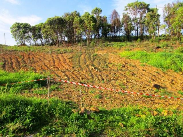 Terreno venda em Castro Marim, Faro