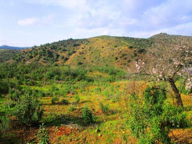 Terreno venda em Castro Marim, Faro