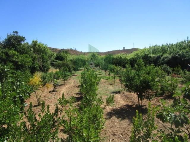 Terreno venda em Castro Marim, Faro