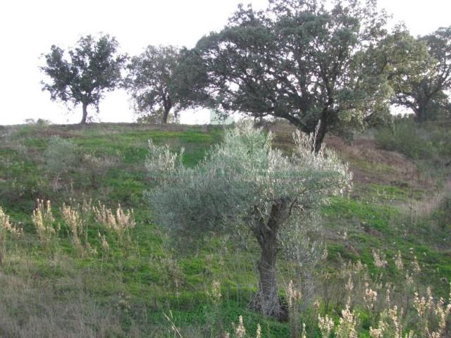 Terreno venda em Castro Marim, Faro