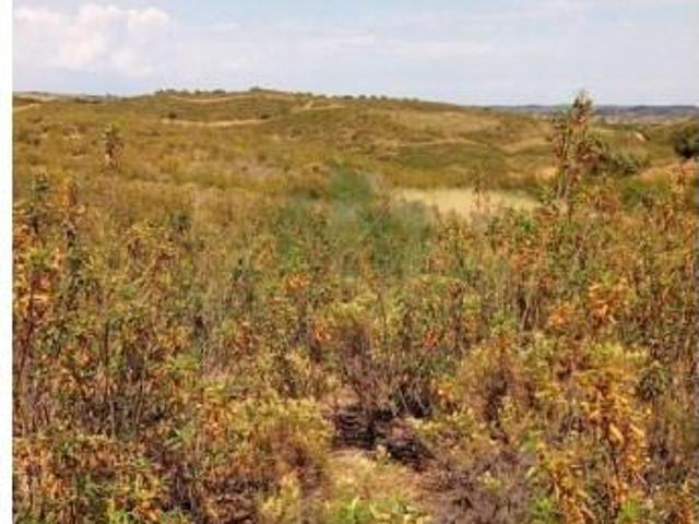 Terreno venda em Castro Marim, Faro