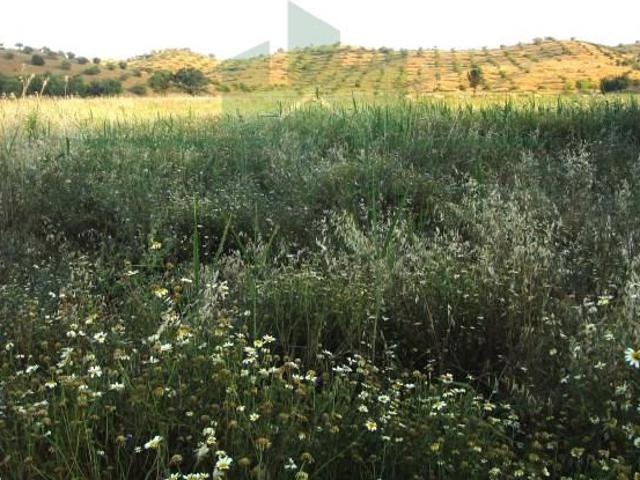 Terreno venda em Castro Marim, Faro