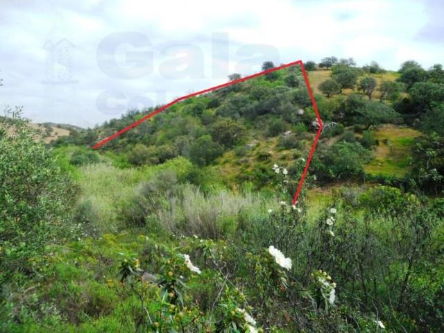 Terreno venda em Castro Marim, Faro