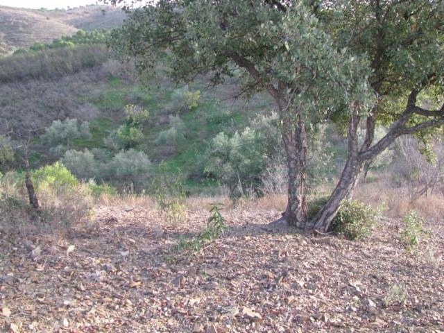Terreno venda em Castro Marim, Faro