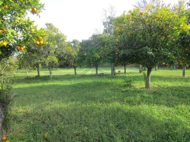 Terreno venda em Castro Marim, Faro