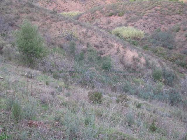 Terreno venda em Castro Marim, Faro