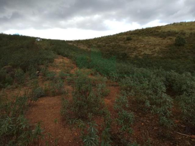 Terreno venda em Castro Marim, Faro