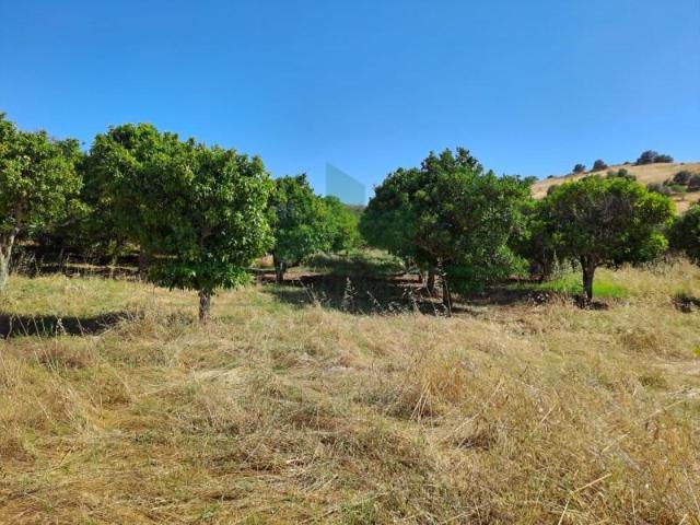 Terreno venda em Castro Marim, Faro