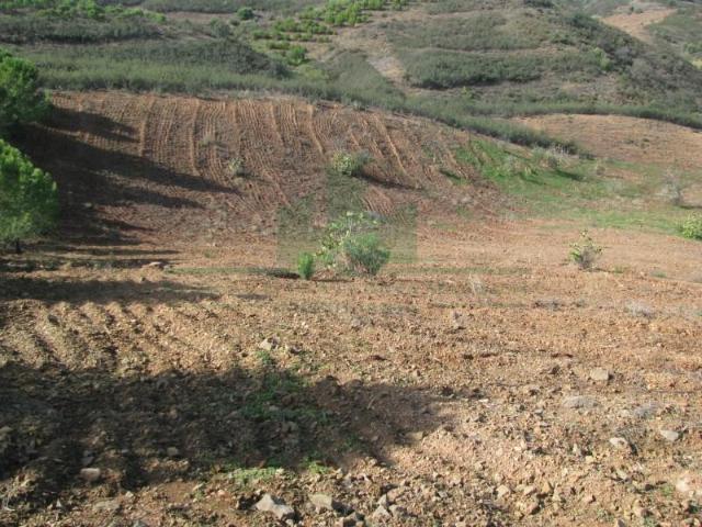 Terreno venda em Castro Marim, Faro