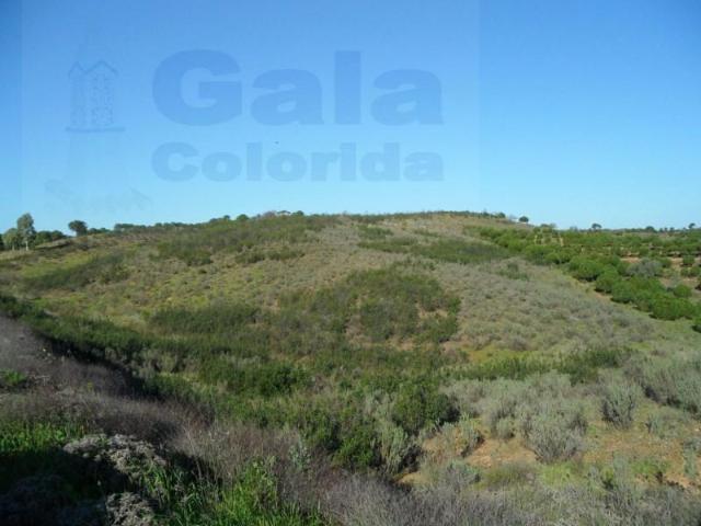 Terreno venda em Castro Marim, Faro