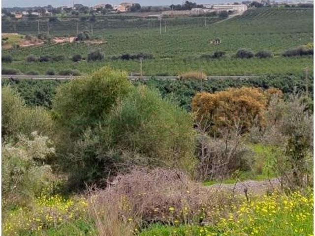 Terreno venda em Castro Marim, Faro