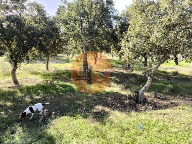 Terreno venda em Castro Marim, Faro