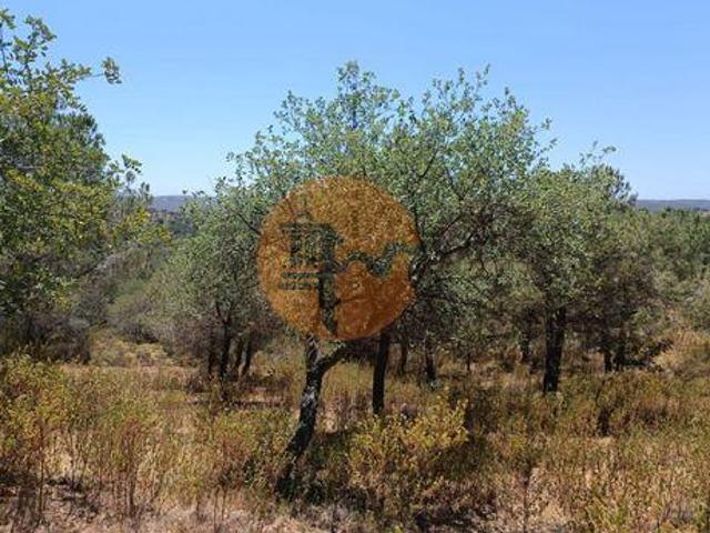 Terreno venda em Foz de Odeleite, Castro Marim