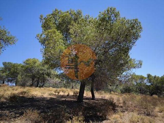 Terreno venda em Monte Francisco, Castro Marim