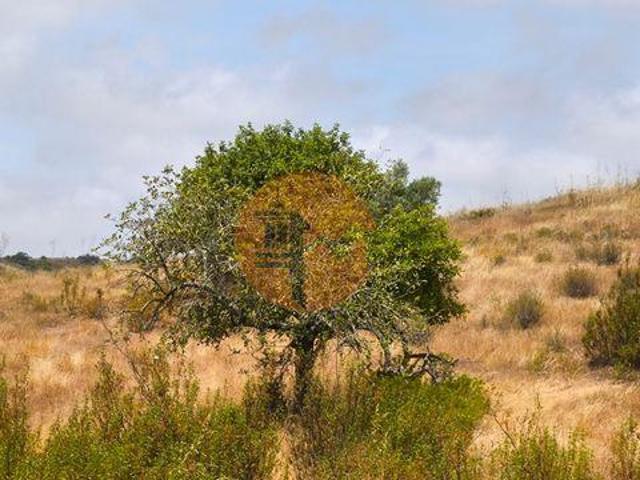 Terreno venda em Maravelha, Castro Marim