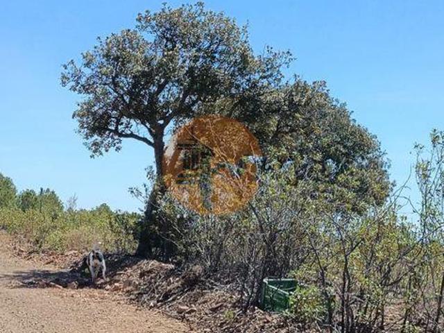 Terreno venda em Corte do Gago, Castro Marim