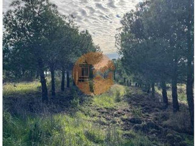 Terreno venda em Corte Velha, Castro Marim
