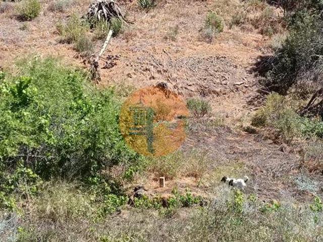 Terreno venda em Corte do Gago, Castro Marim