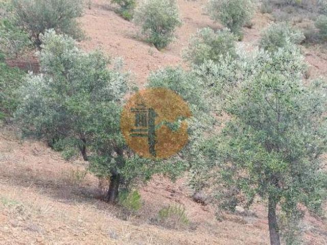 Terreno venda em Corte do Gago, Castro Marim