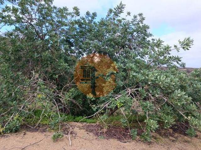 Terreno venda em Corte do Gago, Castro Marim