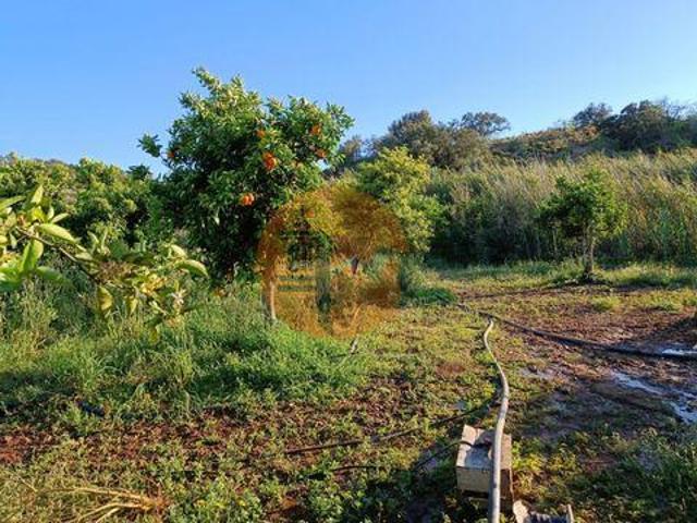 Terreno venda em Pisa Barro de Baixo, Castro Marim