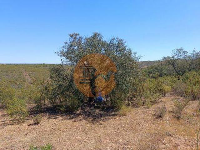 Terreno venda em Choça Queimada, Castro Marim