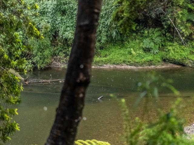 Castro, Vive la naturaleza 139198