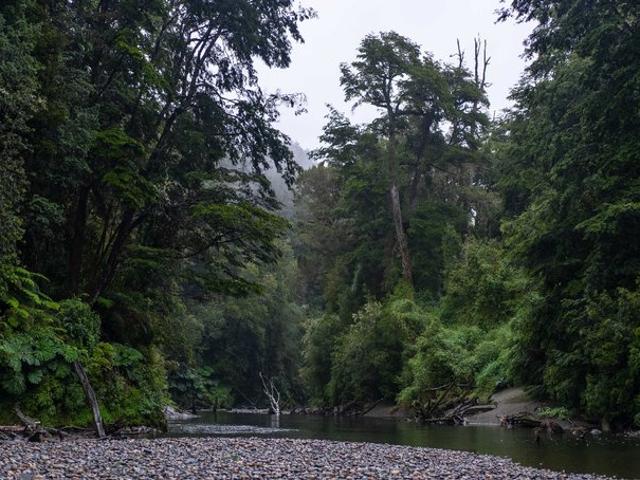 Castro, Vive la naturaleza 139198