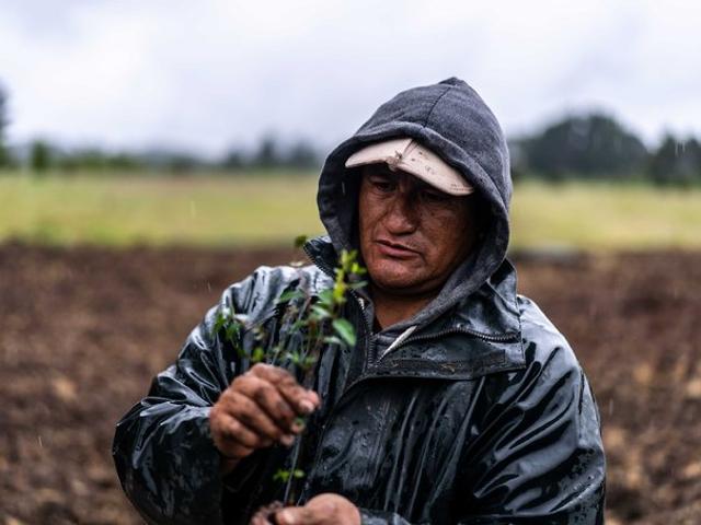 Castro, Vive la naturaleza 139198