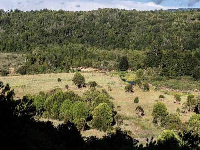 Castro, Vive la naturaleza 139198