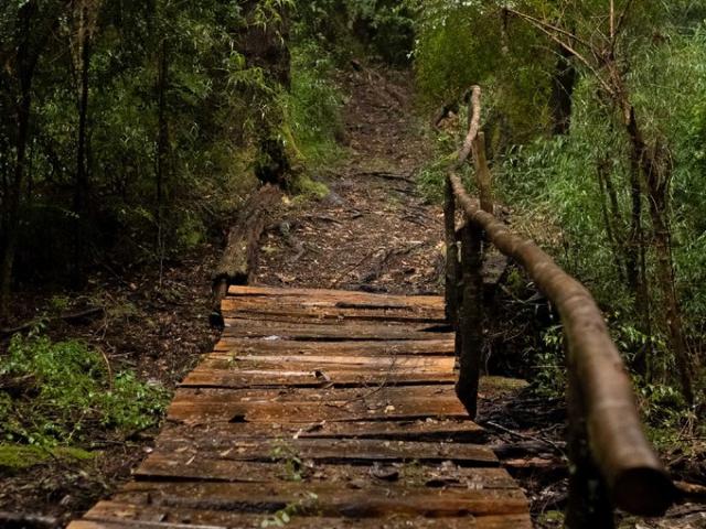 Castro, Vive la naturaleza 139198