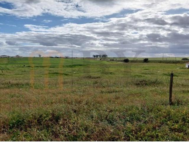 Terreno venda em Entradas, Castro Verde