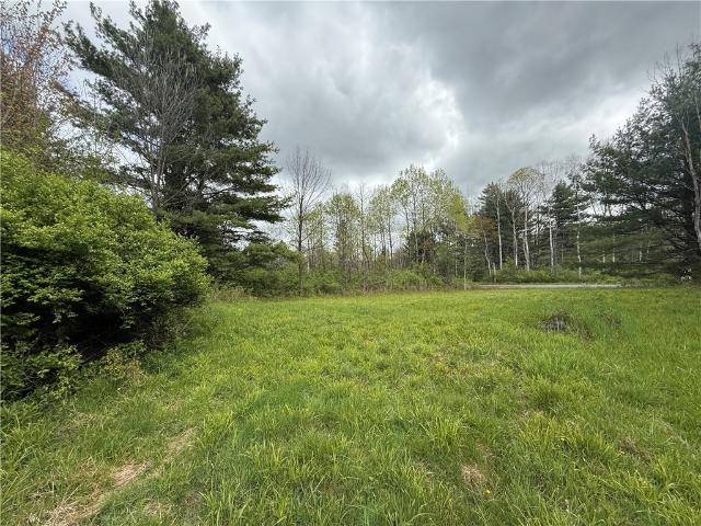 Land for sale in Dryden, New York