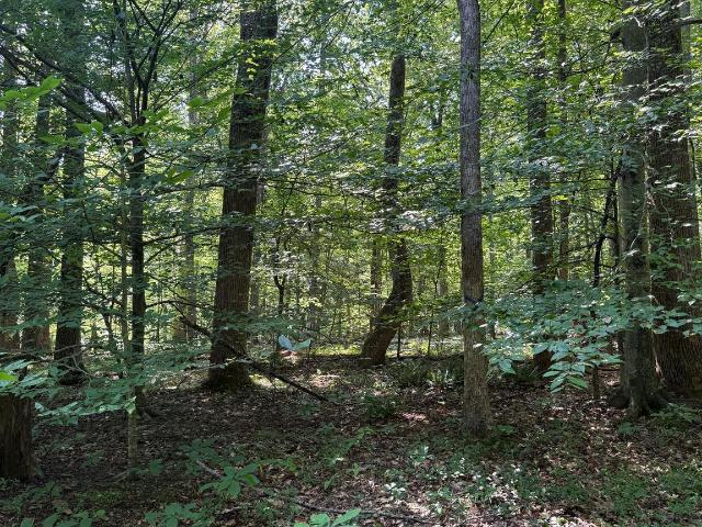 Land for sale in Mechanicsville, Maryland