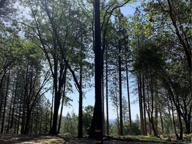 Land for sale in Butte, California