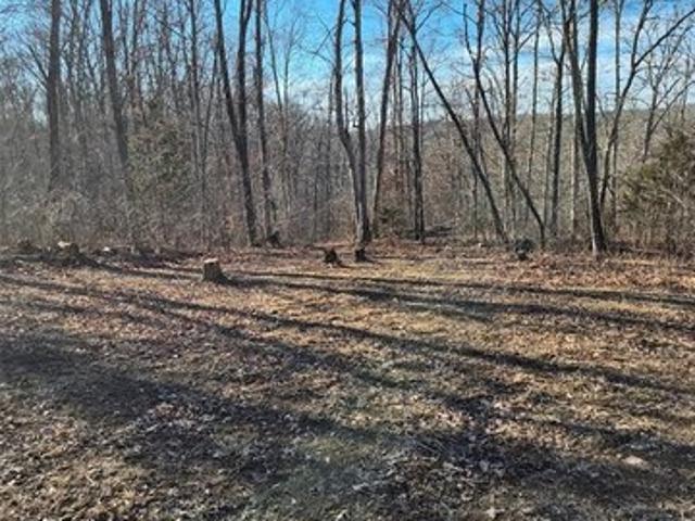 Land for sale in De Soto, Missouri