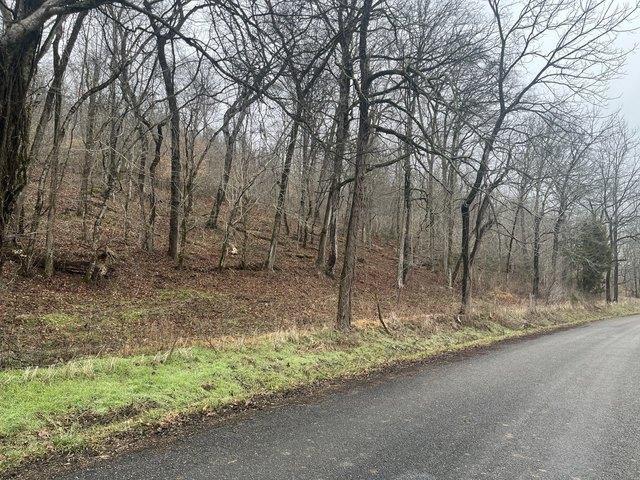 Land for sale in Tennessee