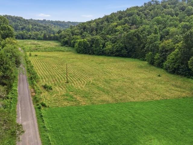 Land for sale in Frankewing, Middle Tennessee