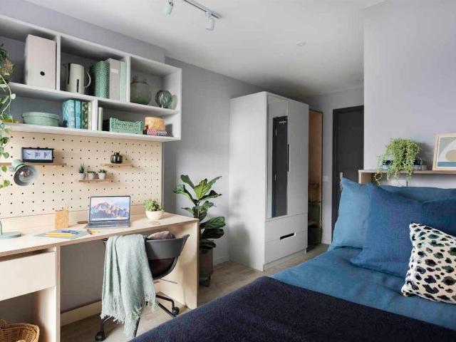Room for rent in Hollingdean, Brighton & Hove