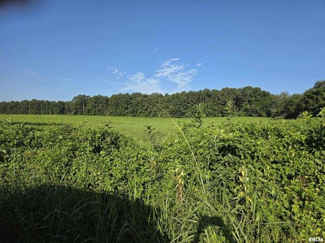 Land for sale in Golconda