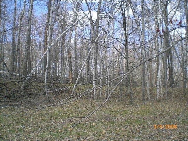 Land for sale in Crosslake, Minnesota