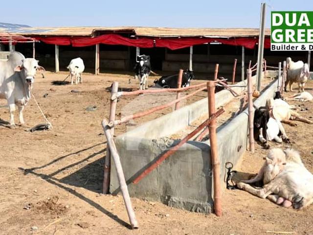 Land for sale in North Waziristan, Federally Administered Tribal Areas fata