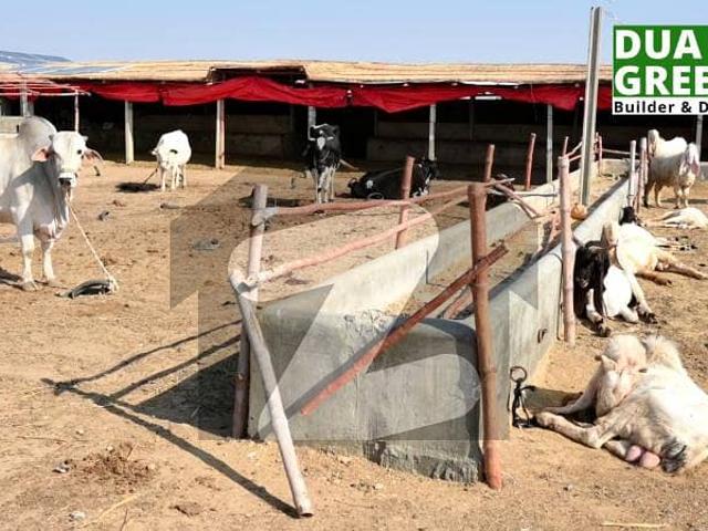 Land for sale in North Waziristan, Federally Administered Tribal Areas fata