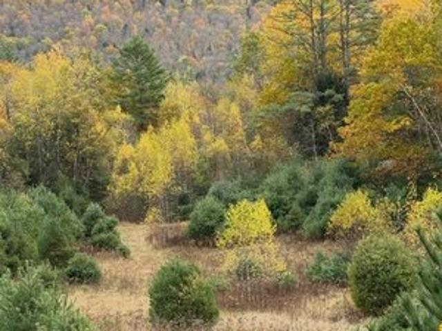 Land for sale in New Hampshire
