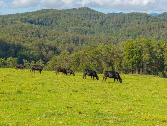 Cottage for sale in New South Wales