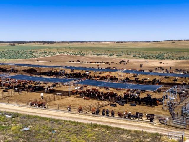 Property for sale in Lameroo, South Australia