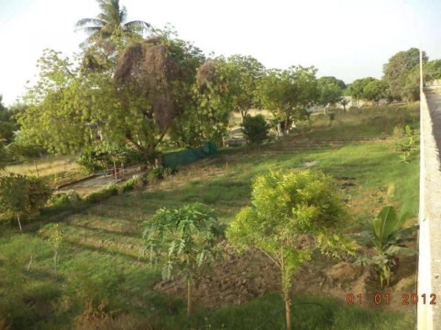 Land for rent in North Waziristan, Federally Administered Tribal Areas fata