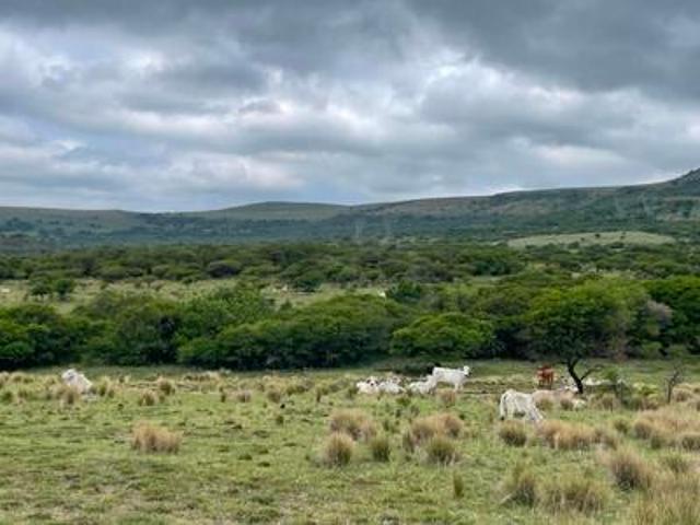 Farm for sale in Greytown, Kwazulu-natal