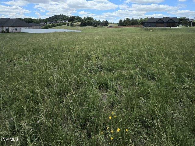 Land for sale in Tennessee