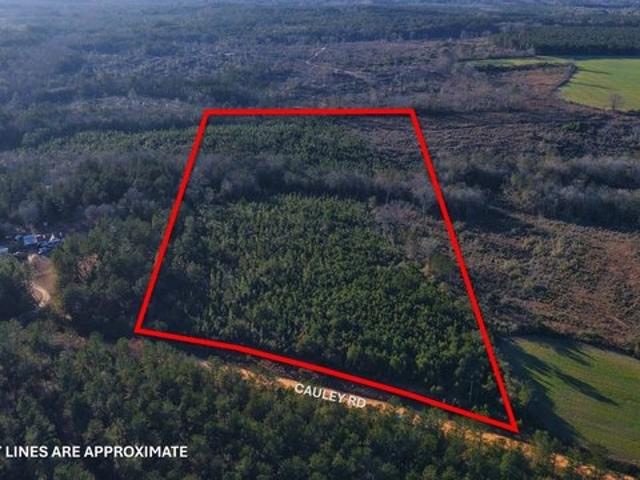 Land for sale in Opp, Alabama